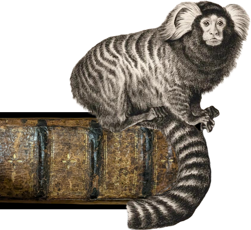 Affe, der ein Buch liest und auf einem Ast sitzt