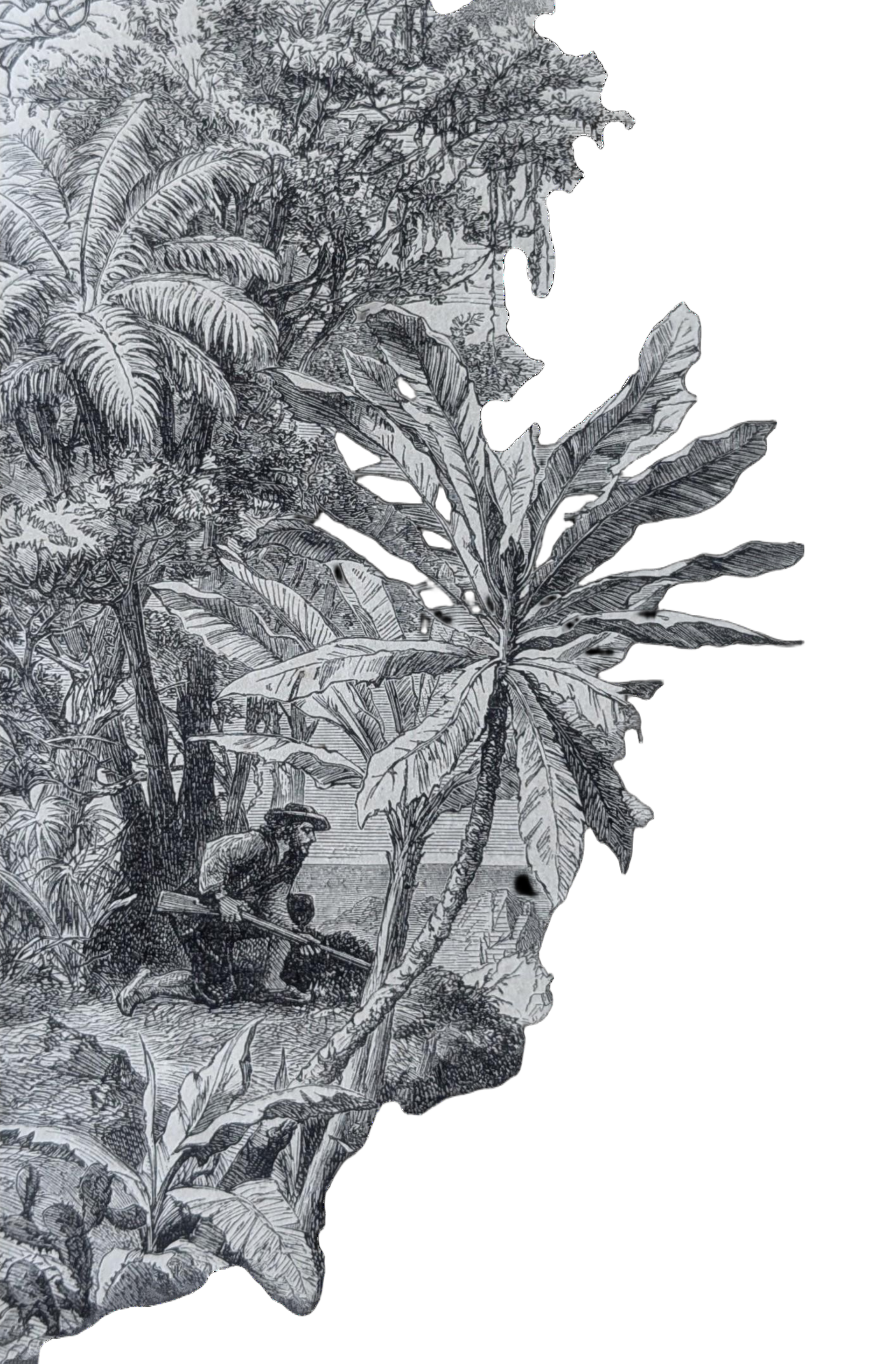 Dschungel-Pflanzen Dekoration links oben