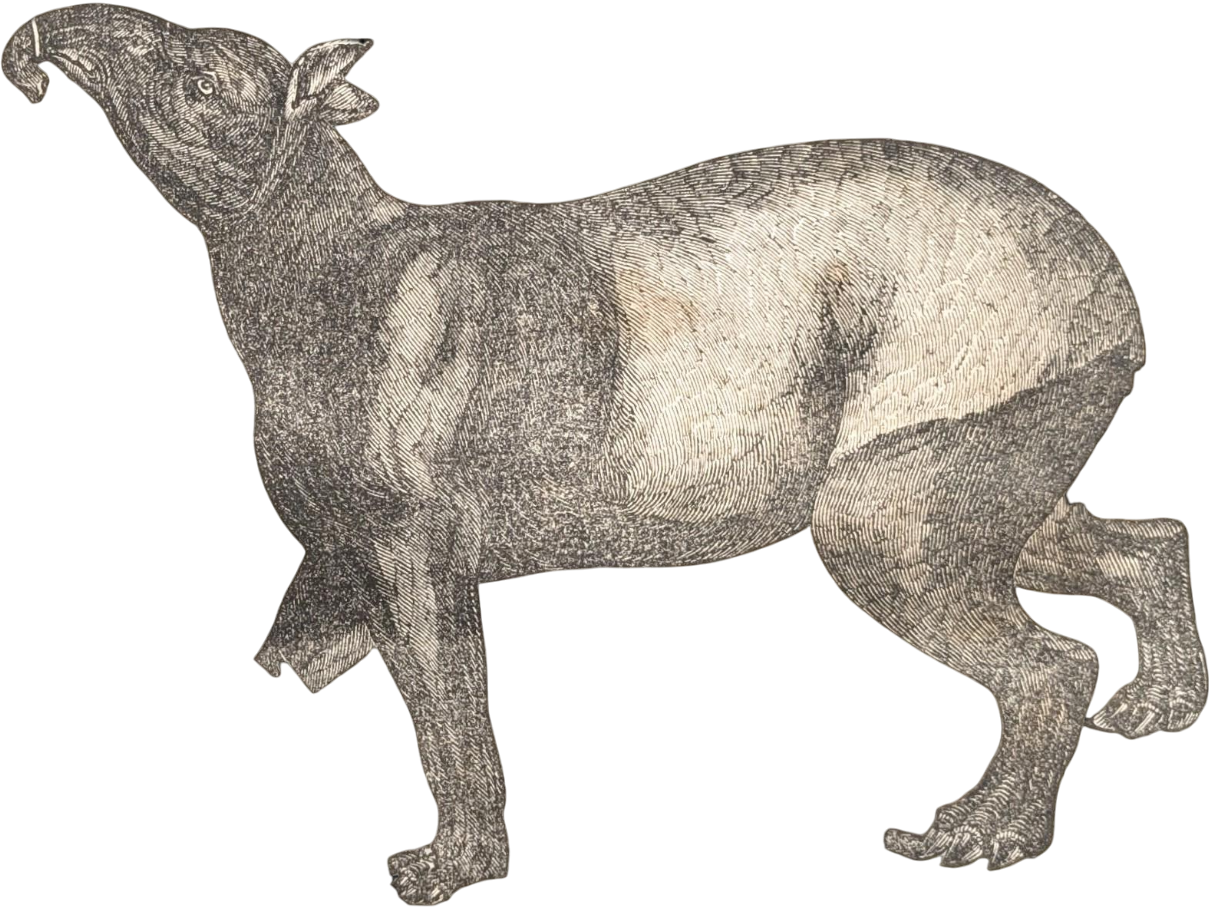 Tapir Tier Dekoration